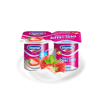 STUFFER YOGURT S/LATTOSIO g125x2 FRAGOLA