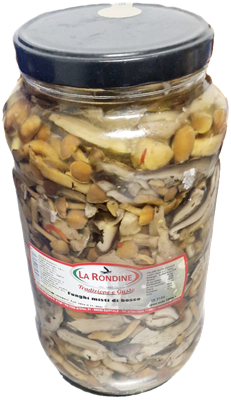 LA RONDINE FUNGHI MISTI DI BOSCO VASO 3kg