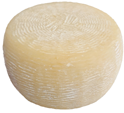PECORINO-KÃ„SE AUS LOKALER PRODUKTION CASEIFICIO SARACENO 60 TAG