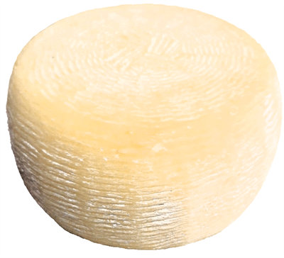 FORMAGGIO PECORINO FRESCO LOCALE CASEIFICIO SARACENO 1KG