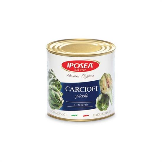 CARCIOFI SPICCHI LATTA IPOSEA KG.3 LAT.